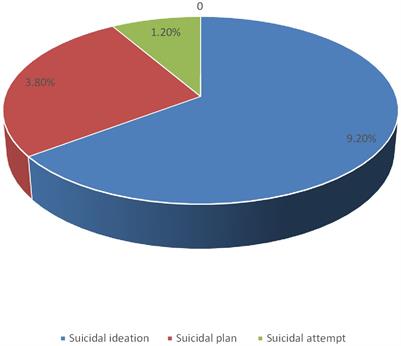 Suicidal behavior and associated factors among holy water users at Northwest, Ethiopia, 2023: an institution based cross-sectional study